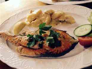 Frisches Lachsfilet